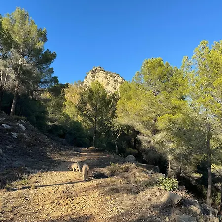 Ibiza Dream Denia, Seaview, Pool, Bbq, Airco, Wifi Вилла